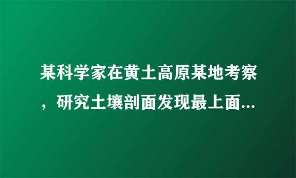 某科学家在黄土高原某地考察，研究土壤剖面发现最上面是黄土，下面土壤发红，最下面含有大量的鹅卵石。如图为黄土高原地区某沟谷剖面图。据此完成5～6题。