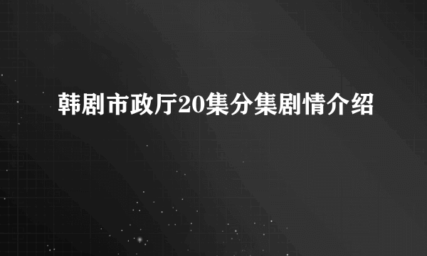 韩剧市政厅20集分集剧情介绍