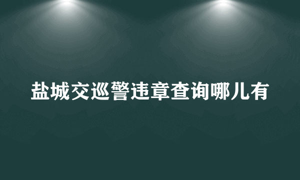 盐城交巡警违章查询哪儿有