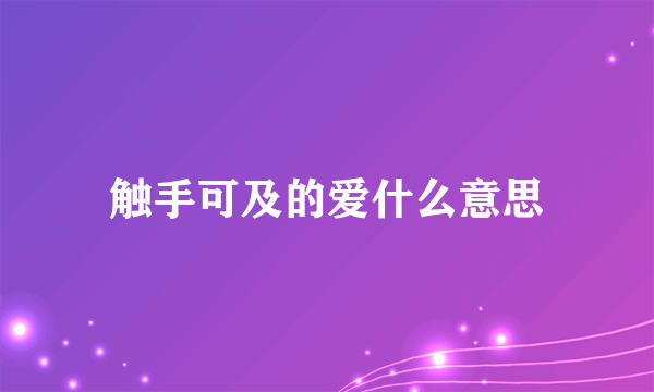 触手可及的爱什么意思