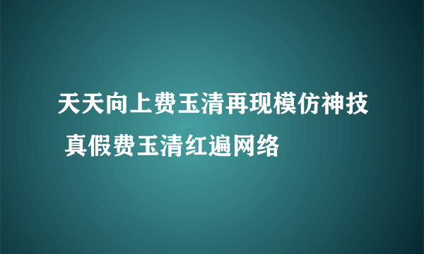 天天向上费玉清再现模仿神技 真假费玉清红遍网络