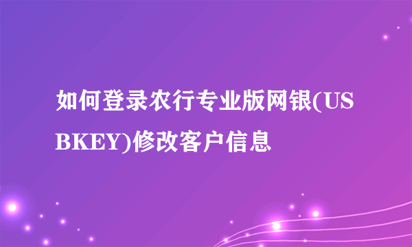 如何登录农行专业版网银(USBKEY)修改客户信息