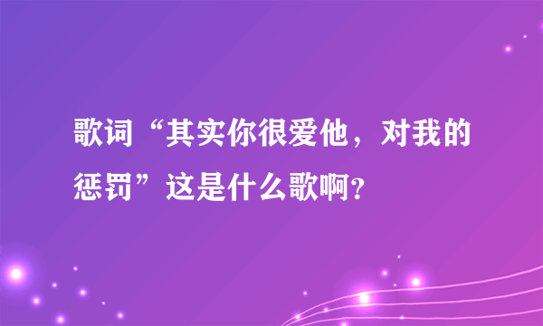 歌词“其实你很爱他，对我的惩罚”这是什么歌啊？