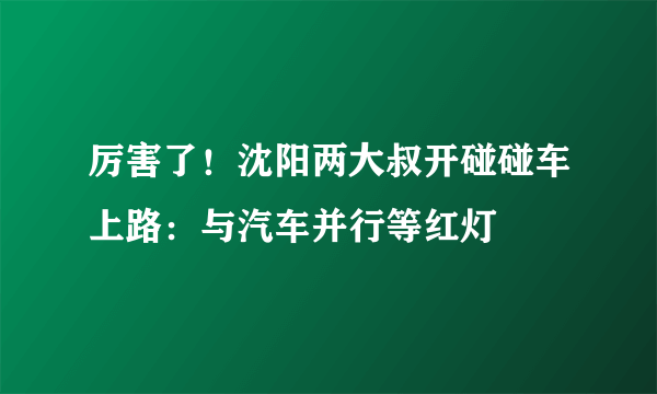 厉害了！沈阳两大叔开碰碰车上路：与汽车并行等红灯