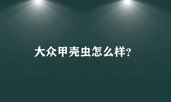 大众甲壳虫怎么样？