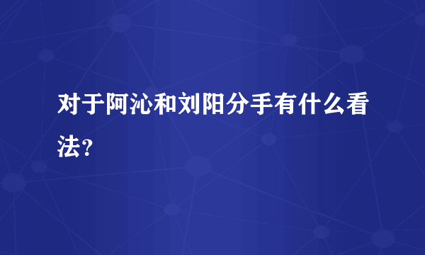 对于阿沁和刘阳分手有什么看法？