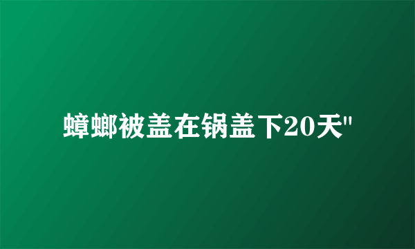 蟑螂被盖在锅盖下20天