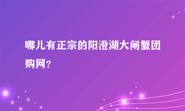 哪儿有正宗的阳澄湖大闸蟹团购网？