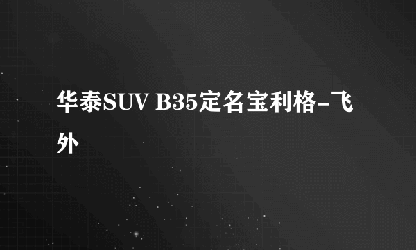 华泰SUV B35定名宝利格-飞外