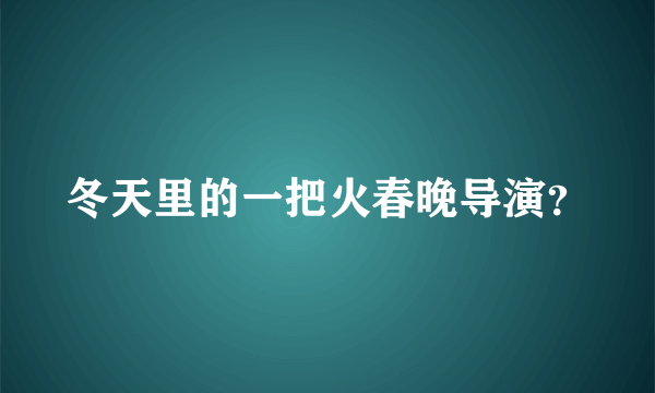 冬天里的一把火春晚导演？