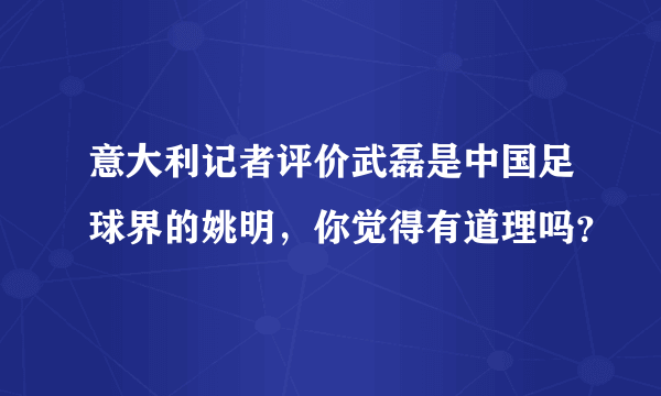 意大利记者评价武磊是中国足球界的姚明，你觉得有道理吗？