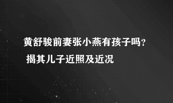 黄舒骏前妻张小燕有孩子吗？ 揭其儿子近照及近况