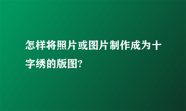 怎样将照片或图片制作成为十字绣的版图?