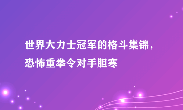 世界大力士冠军的格斗集锦，恐怖重拳令对手胆寒