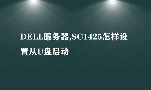 DELL服务器,SC1425怎样设置从U盘启动