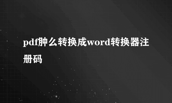 pdf肿么转换成word转换器注册码