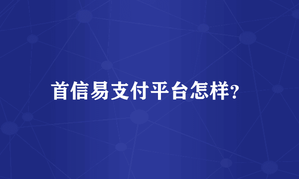 首信易支付平台怎样？