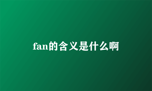 fan的含义是什么啊