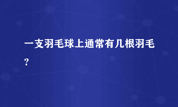 一支羽毛球上通常有几根羽毛？