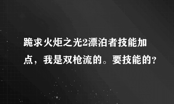 跪求火炬之光2漂泊者技能加点，我是双枪流的。要技能的？