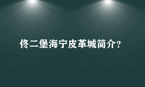 佟二堡海宁皮革城简介？