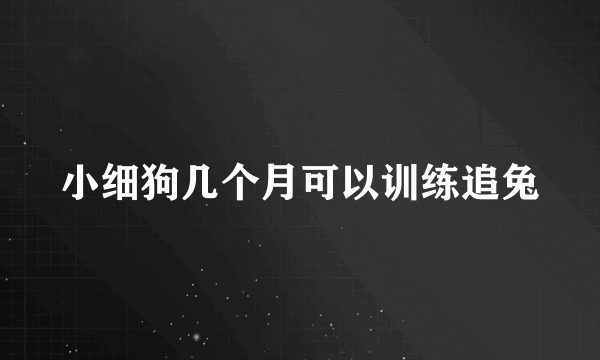 小细狗几个月可以训练追兔