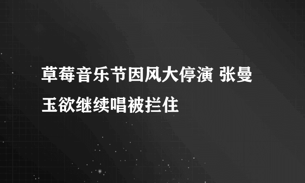 草莓音乐节因风大停演 张曼玉欲继续唱被拦住