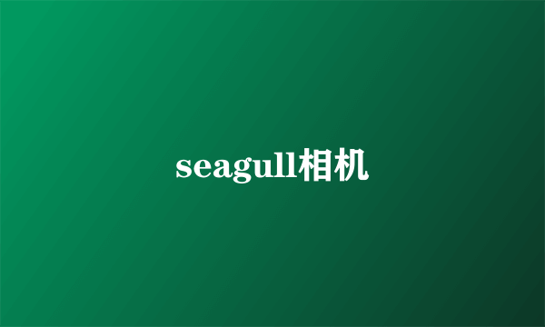 seagull相机