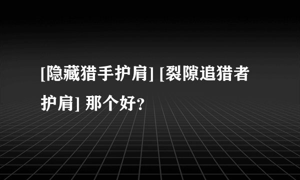 [隐藏猎手护肩] [裂隙追猎者护肩] 那个好？