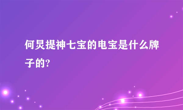 何炅提神七宝的电宝是什么牌子的?