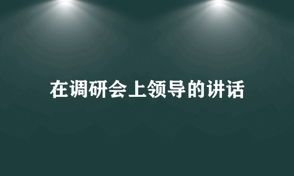 在调研会上领导的讲话