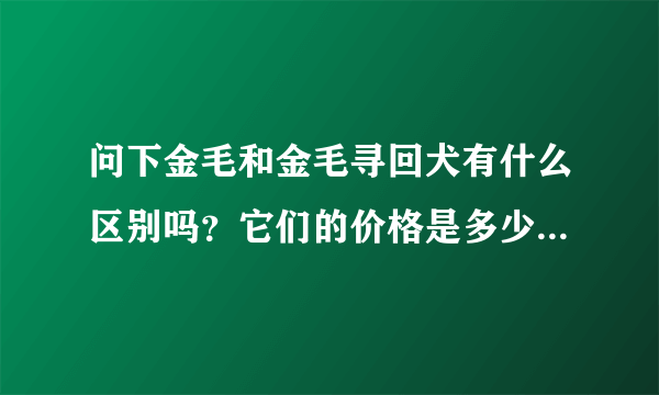 问下金毛和金毛寻回犬有什么区别吗？它们的价格是多少？哪里有卖的啊？哪里的最有保障？郑州有吗？