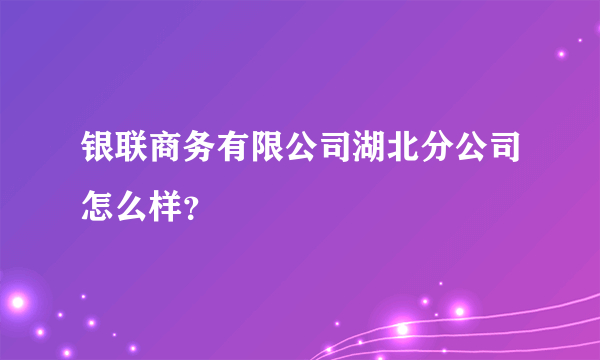 银联商务有限公司湖北分公司怎么样？