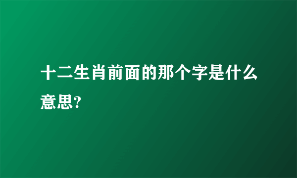 十二生肖前面的那个字是什么意思?