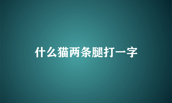 什么猫两条腿打一字