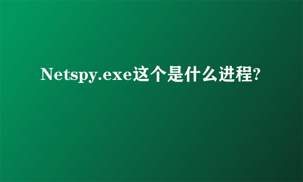 Netspy.exe这个是什么进程?