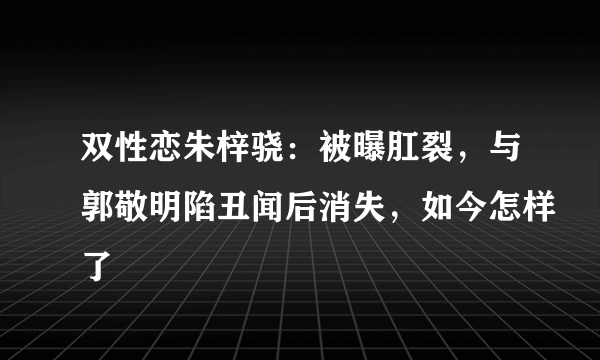 双性恋朱梓骁：被曝肛裂，与郭敬明陷丑闻后消失，如今怎样了