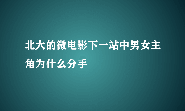 北大的微电影下一站中男女主角为什么分手