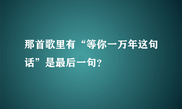 那首歌里有“等你一万年这句话”是最后一句？