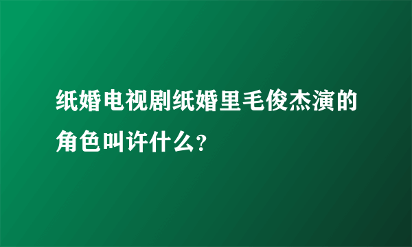 纸婚电视剧纸婚里毛俊杰演的角色叫许什么？