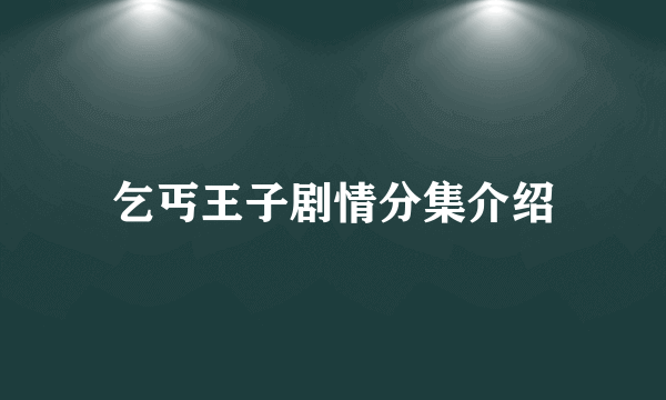 乞丐王子剧情分集介绍