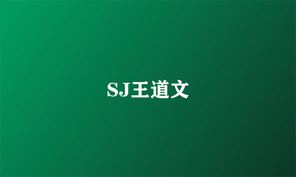 SJ王道文