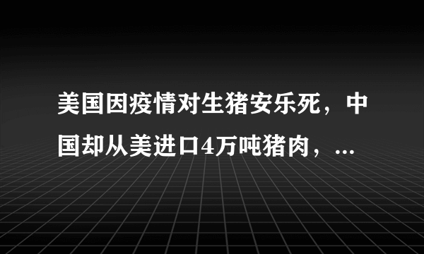 美国因疫情对生猪安乐死，中国却从美进口4万吨猪肉，如何看待？