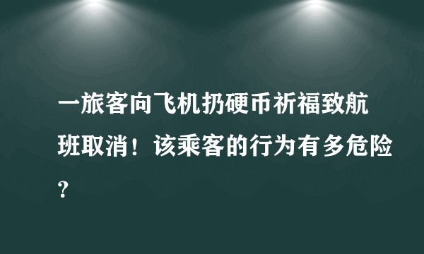 一旅客向飞机扔硬币祈福致航班取消！该乘客的行为有多危险？