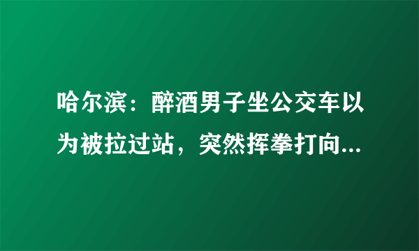 哈尔滨：醉酒男子坐公交车以为被拉过站，突然挥拳打向司机，获刑6年, 你怎么看？