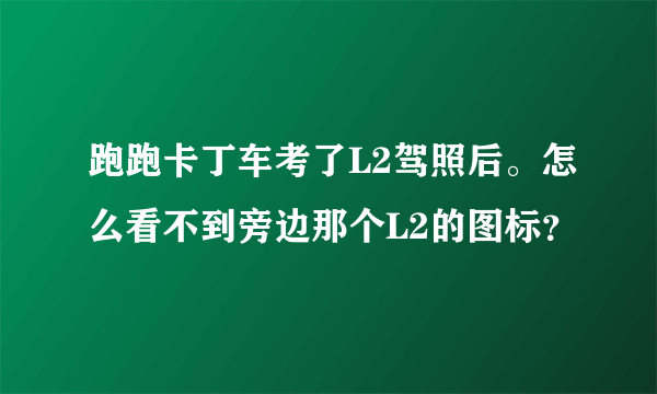 跑跑卡丁车考了L2驾照后。怎么看不到旁边那个L2的图标？