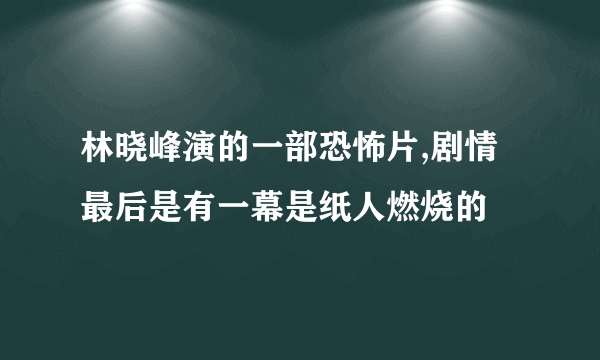 林晓峰演的一部恐怖片,剧情最后是有一幕是纸人燃烧的