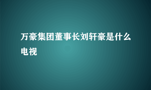 万豪集团董事长刘轩豪是什么电视