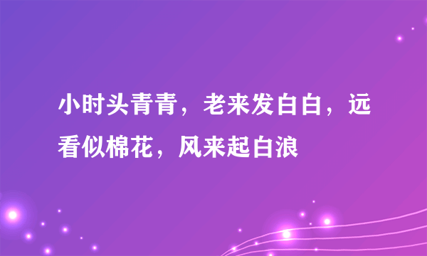 小时头青青，老来发白白，远看似棉花，风来起白浪