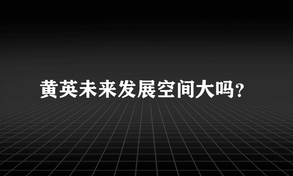 黄英未来发展空间大吗？